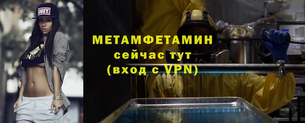 сатива Беломорск