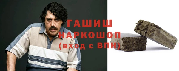 сатива Беломорск