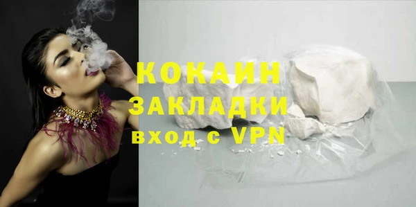 сатива Беломорск