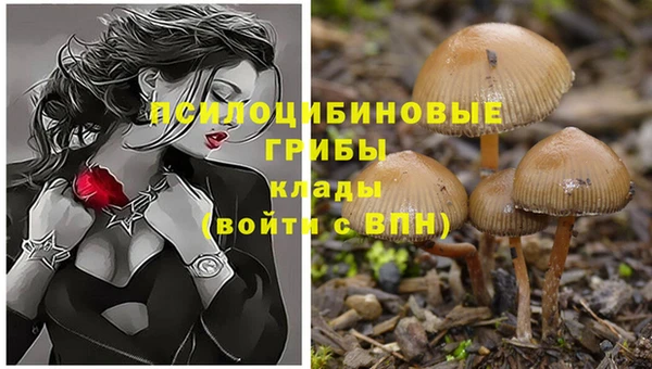 таблы Белокуриха