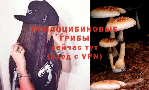 дмт Белоозёрский