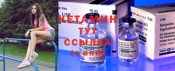 сатива Беломорск