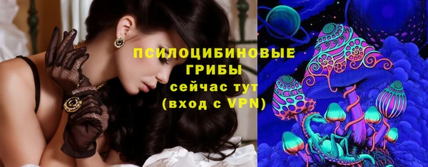 таблы Белокуриха